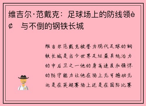 维吉尔·范戴克：足球场上的防线领袖与不倒的钢铁长城